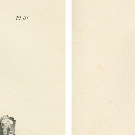 Forest Devil, Miriki & Long-bearded Howler Monkeys, Lithographs by C. Last, 1836, close-up 5