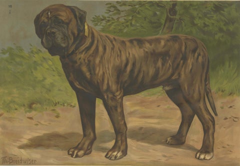 Large Antique Dog Poster, Shepherd and Mastiff by Briedwiser c.1880, close-up 3