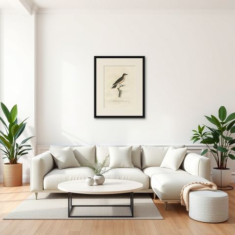 1807 Vermilion Flycatcher Handcolored Print- Antique Ornithological Illustration, shown framed in a room