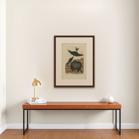 Antique Bird Print of the Barn Swallow by Sepp & Nozeman, 1770, shown framed on a wall