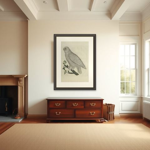 Antique Bird Print of the Snowy Owl by Sepp & Nozeman, 1809, shown framed in a room