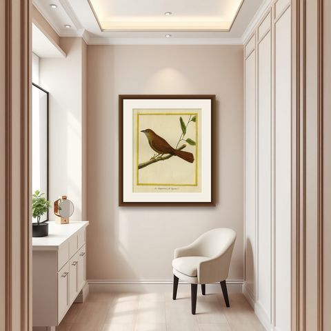 Original Hand-Colored Antique Bird Print of Tanager Bird, ca.1770, shown framed in a room