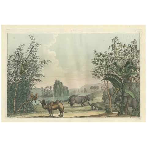 Chinese Landscape with Camel, Rhinoceros and Elephant, Antique Print, 1815