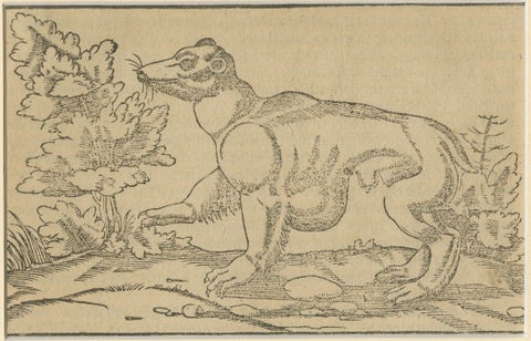 Rare 1592 Woodcut of Exotic Animal from Sebastian Münster's "Cosmographia", close-up 2