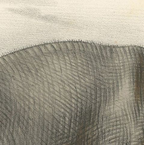 Old Antique Hand-Colored Print of an Indian Elephant, ca.1860, close-up 1