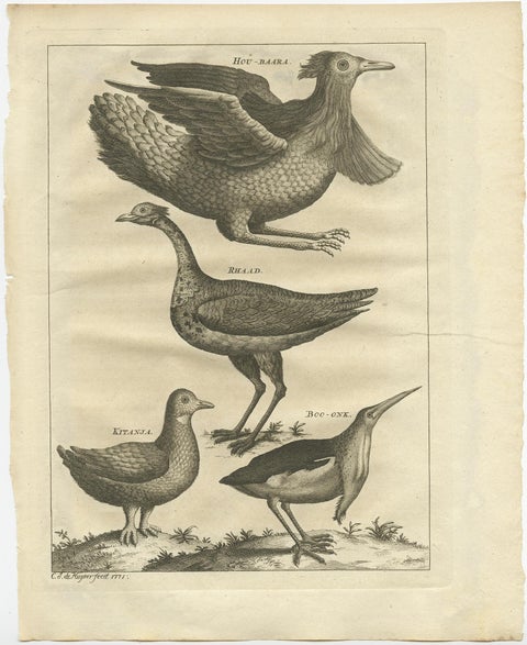Rare Antique Bird Print of a Houbara, the Arabian Bustard and More, 1773, view 2
