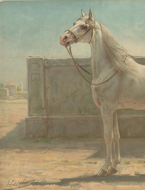 Antique Print of a Persian Horse by O. Eerelman, 1898, view 3