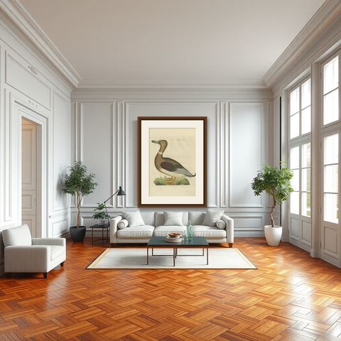 Antique Bird Print of a Male Domestic Duck by Sepp & Nozeman, 1809, shown framed in a room