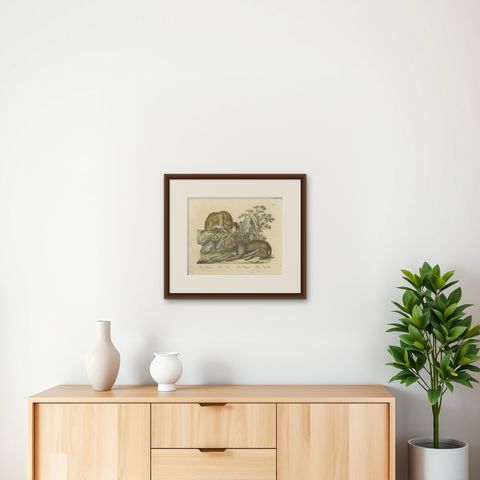 Antique Jaguar & Cougar Lithograph by Karl Joseph Brodtmann, 1816, shown framed on a wall