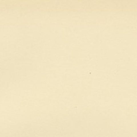 Antique Bird Print of the Common Reed Bunting by Von Wright, 1927, close-up 1