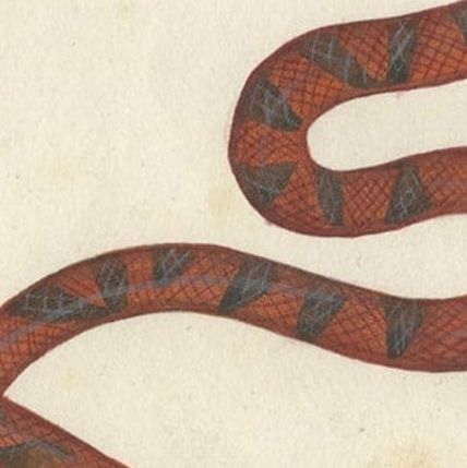Antique Print of the Anguis Fragilis and Other Reptiles, c.1820, close-up 3