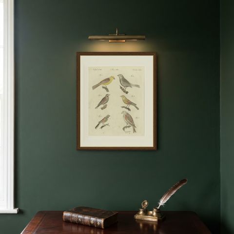 Yellowhammer, Ortolan and Buntings, Antique Bertuch Print, Vienna, circa 1805, shown framed on a wall