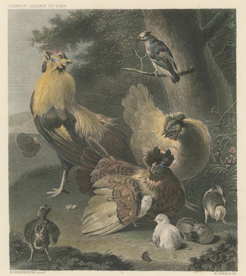 Tranquil Homestead: A Family of Chickens, circa 1860, close-up 6