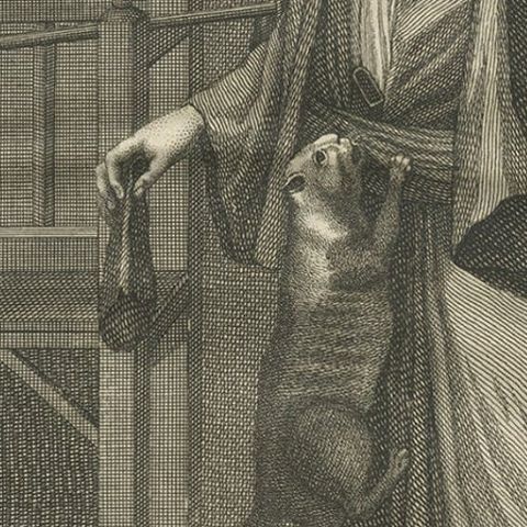 Antique Print of the Albanian Dgi-Guerdgi Feeding Sheep Liver to Cats, 1727, close-up 2