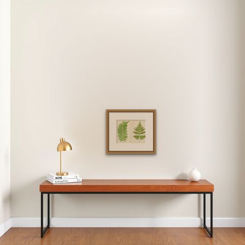 Antique Set of Botanical Fern Prints– Aspidium Articulatum & Aspidium Coadunatum, shown framed on a wall