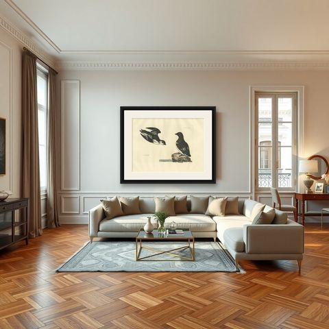 The Little Auk - A Life Seize Study Engraved in Seasonal Plumage by Selby, 1826, shown framed in a room