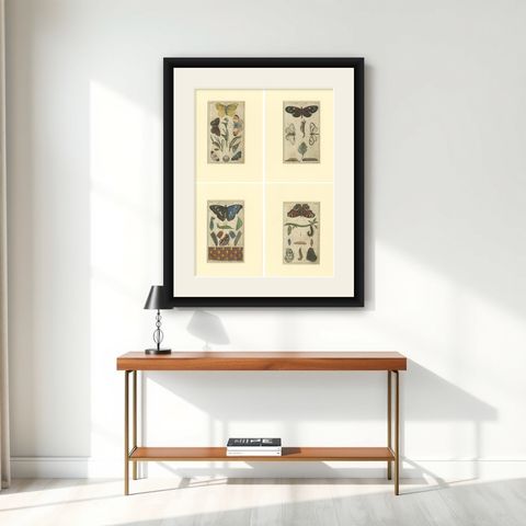 Set of 4 Antique Butterfly Prints Also Showing Caterpillars and Pupae, shown framed on a wall
