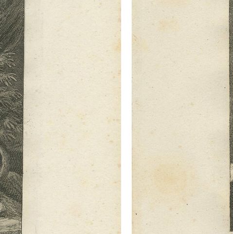 Set of 2 Antique Prints of a Lioness Hunting and Resting, close-up 1