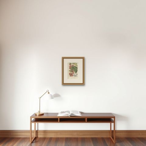 Botanical Illustration of Little Kurrajong: Brachychiton Bidwillii, c.1855, shown framed on a wall