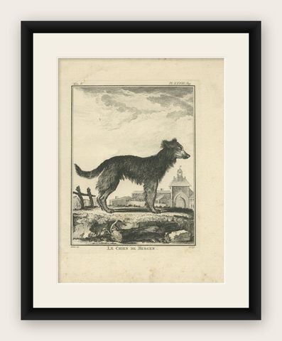Antique Print of a Sheepdog by De Seve, c.1780, shown framed