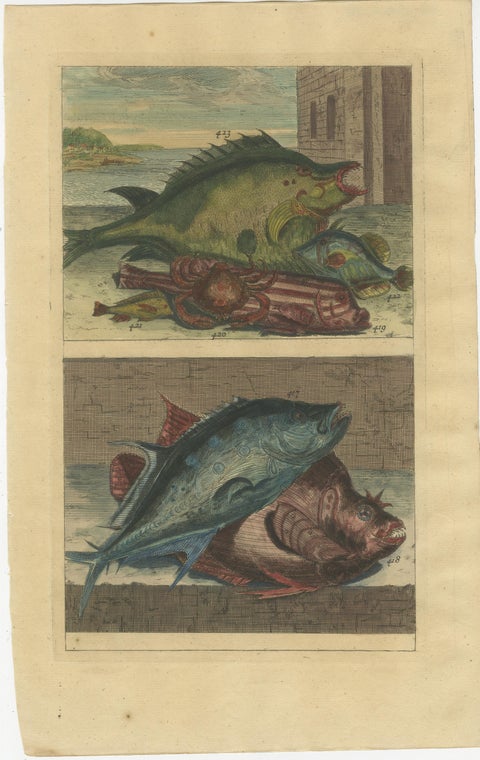 Set of 8 Colored Antique Prints of Various Fishes and Crustaceans, view 3