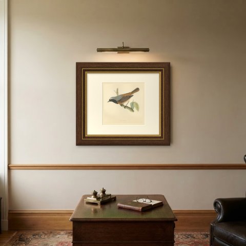 Redstart Leaning from a Leafy Twig, Hand Colored Bird Print, Morris, 1896, shown framed on a wall