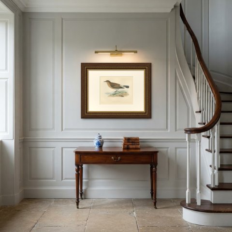 Isabelline Wheatear on a Coastal Rock, Antique Bird Print, Morris, 1896, shown framed in a room