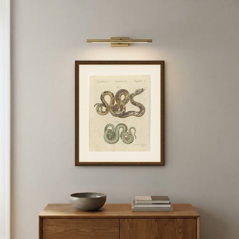 Two Patterned Snakes in Coils, Antique Bertuch Print, Vienna, circa 1805, shown framed on a wall