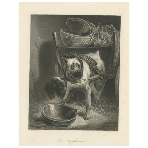 Belgian Mastiff Working Dog, Antique Engraving by A.H. Payne, c.1850