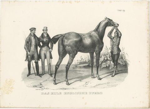 Set of 2 Original Antique Prints of English Horses, view 3