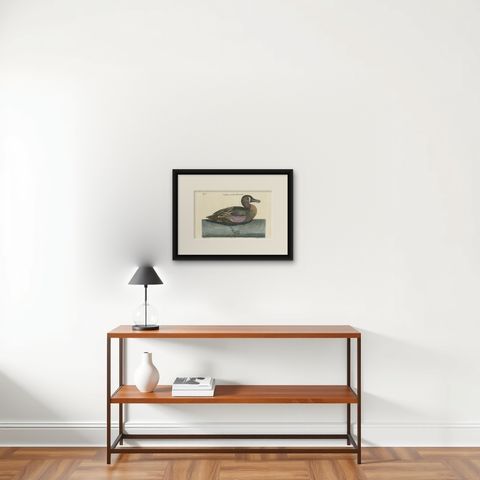 Hand-Colored Engraving of the American Variegated Teal by Seligmann, ca.1770, shown framed on a wall