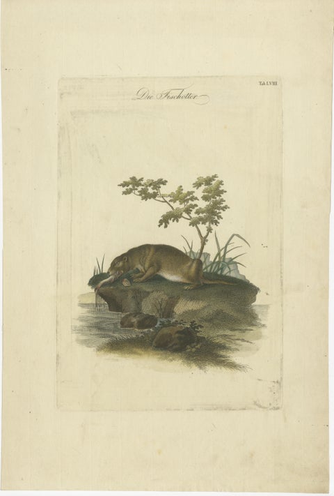 The Otter’s Catch: A Masterpiece Engraving from Johann Daniel Meyer, ca.1750, view 2