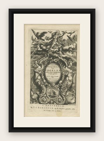 Antique Frontispiece of Birds and Putti by Merian, 1660, shown framed