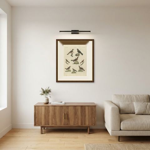 Crested Lark and Other Larks, Antique Bertuch Print, Vienna, circa 1805, shown framed in a room