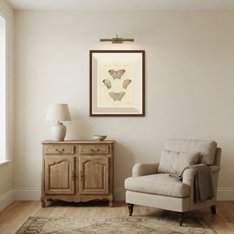 Exotic Butterfly with Wing Details, Antique Bertuch Print, Vienna, circa 1812, shown framed in a room