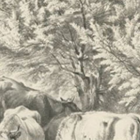 Antique Print of Cattle by Cooper, circa 1839, close-up 2