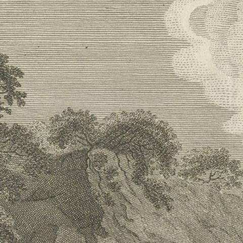 Antique Print of a Sea Otter by Cook, 1803, close-up 2
