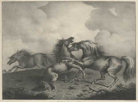 Original Antique Lithograph of a Horse Showing the Passion 'Rage & Agony', 1827, close-up 1