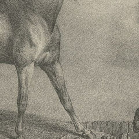 Original Antique Lithograph of a Horse Showing the Passion 'Courage', 1827, close-up 3