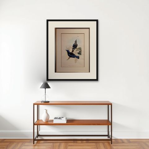 Antique Bird Print in Frame of the Black-Mantled Fairy Bluebird by Gould, 1870, shown framed on a wall