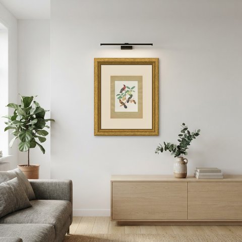 Orioles and Tanagers on a Guava, Brazilian Bird Print, Descourtilz, 1944, shown framed on a wall