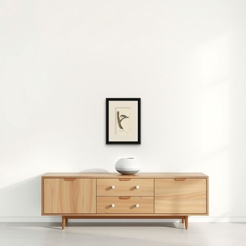 Antique Bird Print of the Canadian Woodpecker by Audubon, c.1840, shown framed on a wall