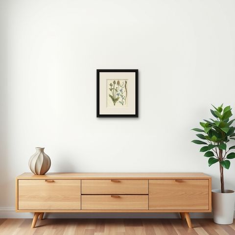 Hand-Colored Botanical Lithograph of Teasel and Chicory, Calwer, 1854, shown framed on a wall