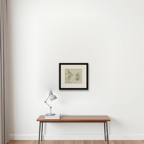 Antique Ornithological & Zoological Engraving, Bird and Bat Species, c.1800, shown framed on a wall