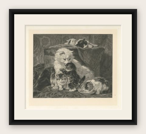 "Mother's Love" - Cats and Kittens by Henriette Ronner (1894), shown framed