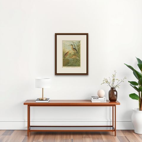 Bitterns in Reeds, Antique 19th Century Bird Chromolithograph of Little Bittern, shown framed on a wall
