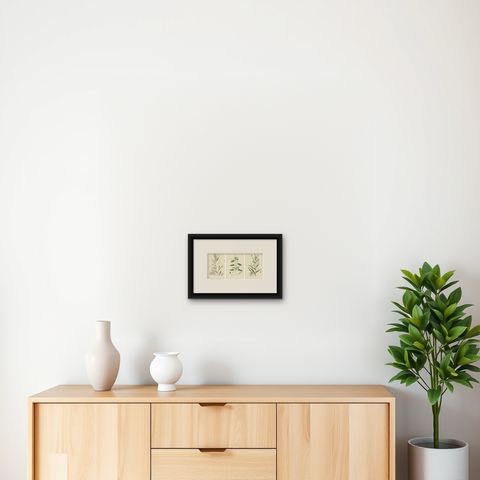 Hand-Colored Botanical Engravings of Willow-Herb Varieties, 1902, shown framed on a wall
