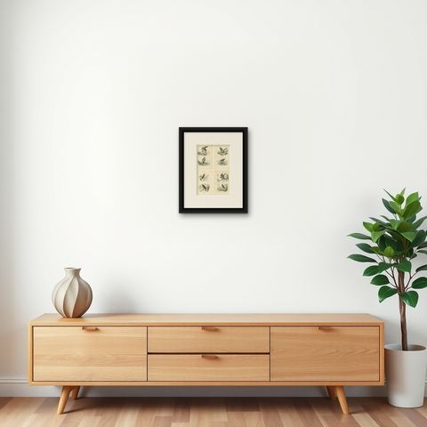 Set of 4 Antique Bird Prints Osprey, Eagle, Buzzard, Falcon by Buffon, 1839, shown framed on a wall