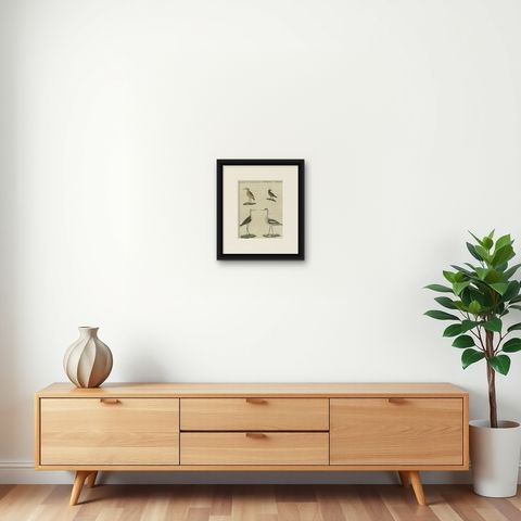 Antique Print of Various Birds Including the Little Bittern, shown framed on a wall