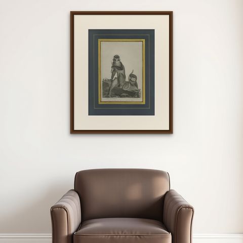 Antique Print of the White-Nosed Monkey by Miger 'c.1808', shown framed on a wall